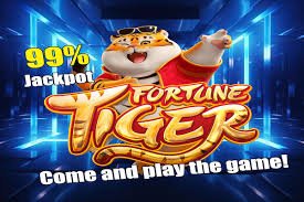 မြန်မာနိုင်ငံ ဘောလုံးလောင်းကစား Sportsbook မြင်ကွင်း